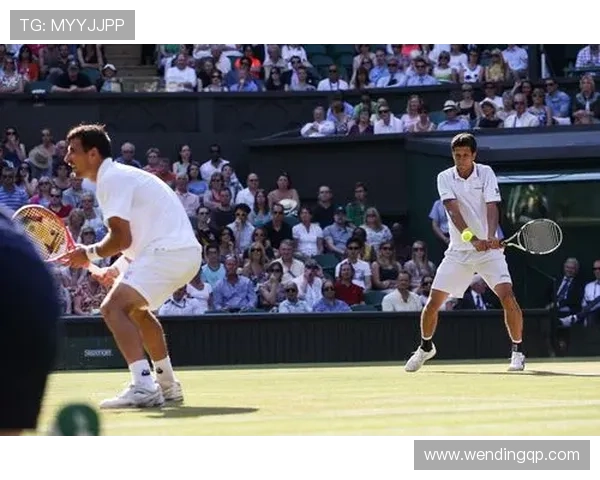 问鼎体育官网首页网址官方入口地址及登录流程全攻略