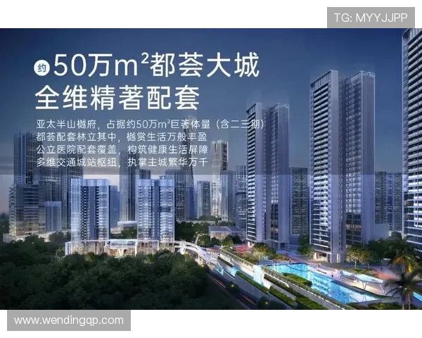 问鼎数字站：打造全面覆盖的数字信息服务平台