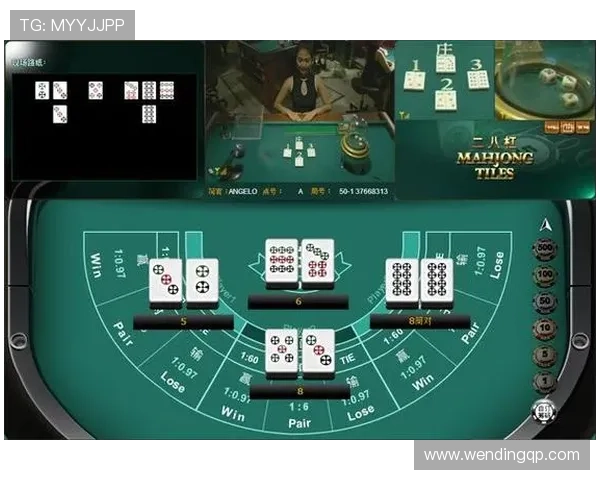 二八杠棋牌新版平台安全稳定，提供多样化游戏体验，满足玩家多重需求